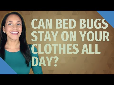 Video: Hvor gemmer væggelus sig i tøjet?