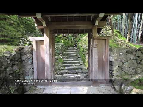 KOKEDERA / KYOTO 2010