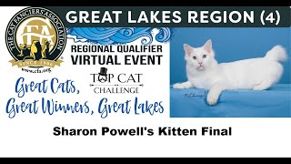 GLR RQVE - Sharon Powell's Kitten Final