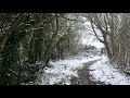 Snow Falling Through Leaves & Winter Wind Sounds for Sleep, Insomnia, Tinnitus: Natural White Noise