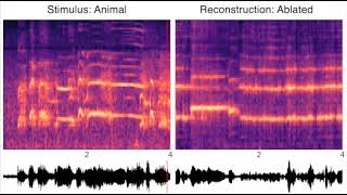 Reconstructed sounds using brain decoder with ablated training category set (Park et al., 2024; S4)