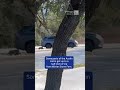 SUV Spins Out On Icy Road