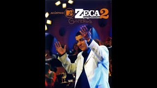 Video thumbnail of "ZECA PAGODINHO │ Tive sim"