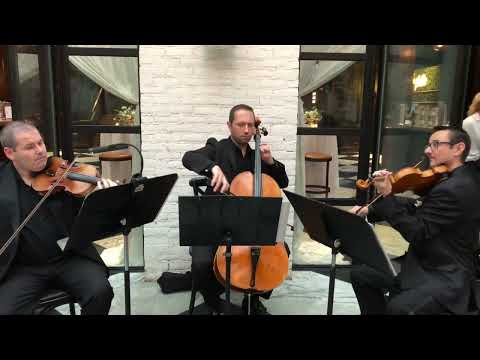 Sunset Strings' trio performs "A Thousand Years" before a wedding ceremony.