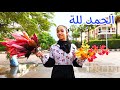 بنت صغيرة تساعد امها الفقيرة شوف حصل اية 