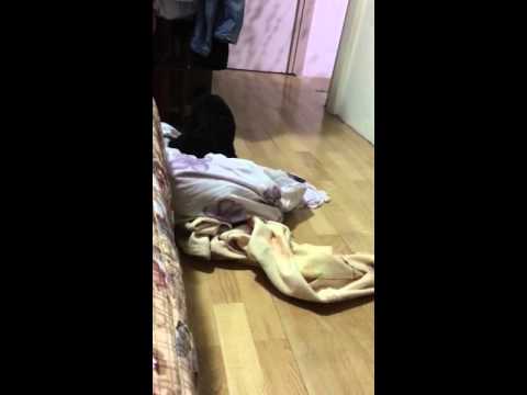 自己換床單