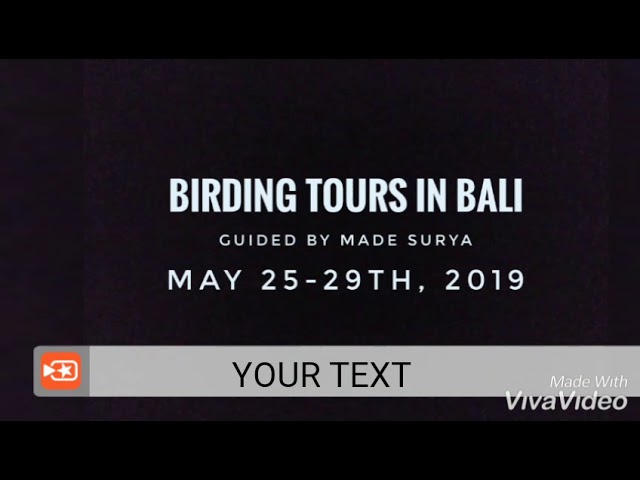 Birding Bali class=