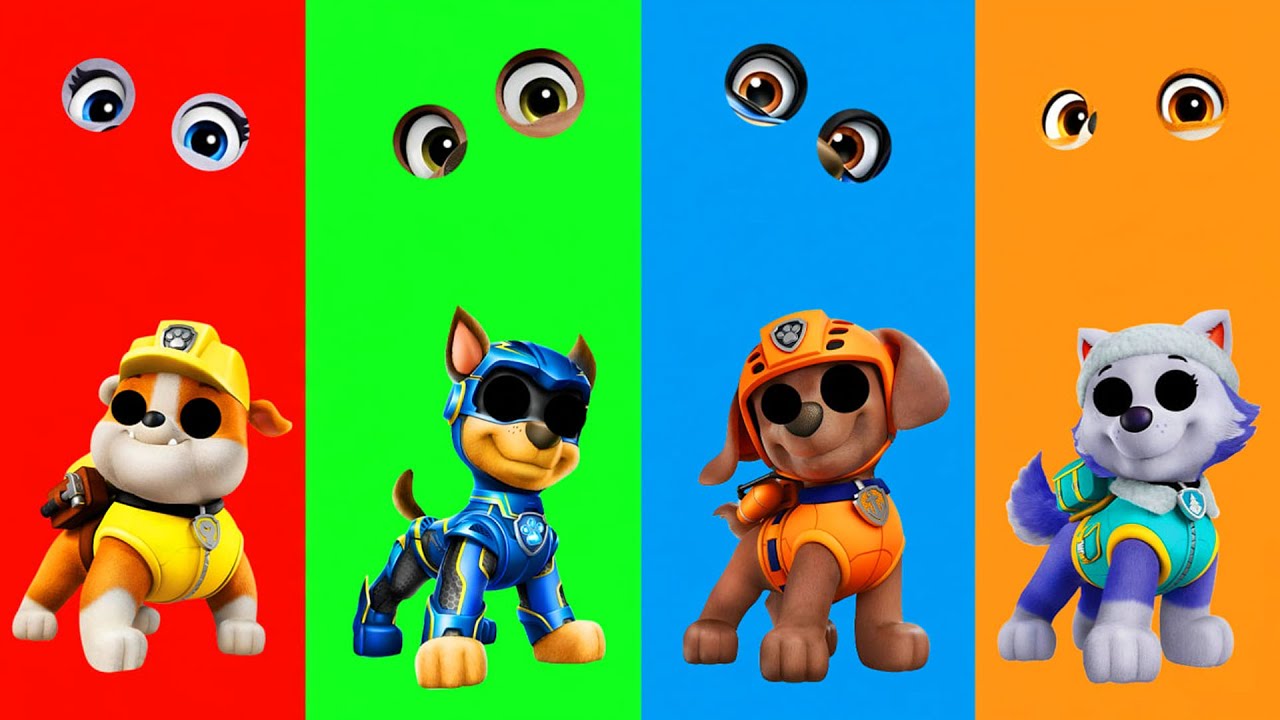 Wrong eyes👀 challenge DAME TU COSITA Paw Patrol Funny Puzzle Wrong Heads