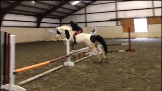 Bareback and Bridleless Jumping Jan. 2020