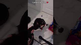 Cam’s funny moments compilation #fyp #challenge #foryou #usa🇺🇸
