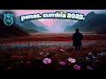 PENAS. CUMBIA 2025. #cumbias #cumbion #cumbia #sonideros2025 #sonideros