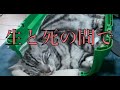 【猫記録498】大切なご報告