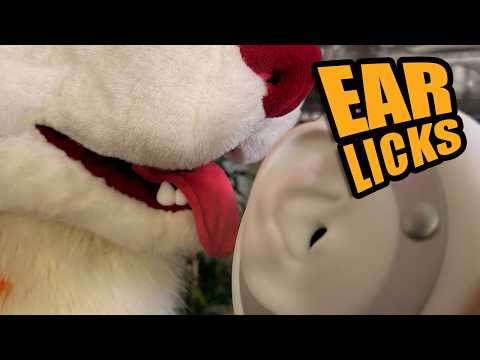 This Furry ASMR Ear Attention is Dangerously Relaxing 👆
