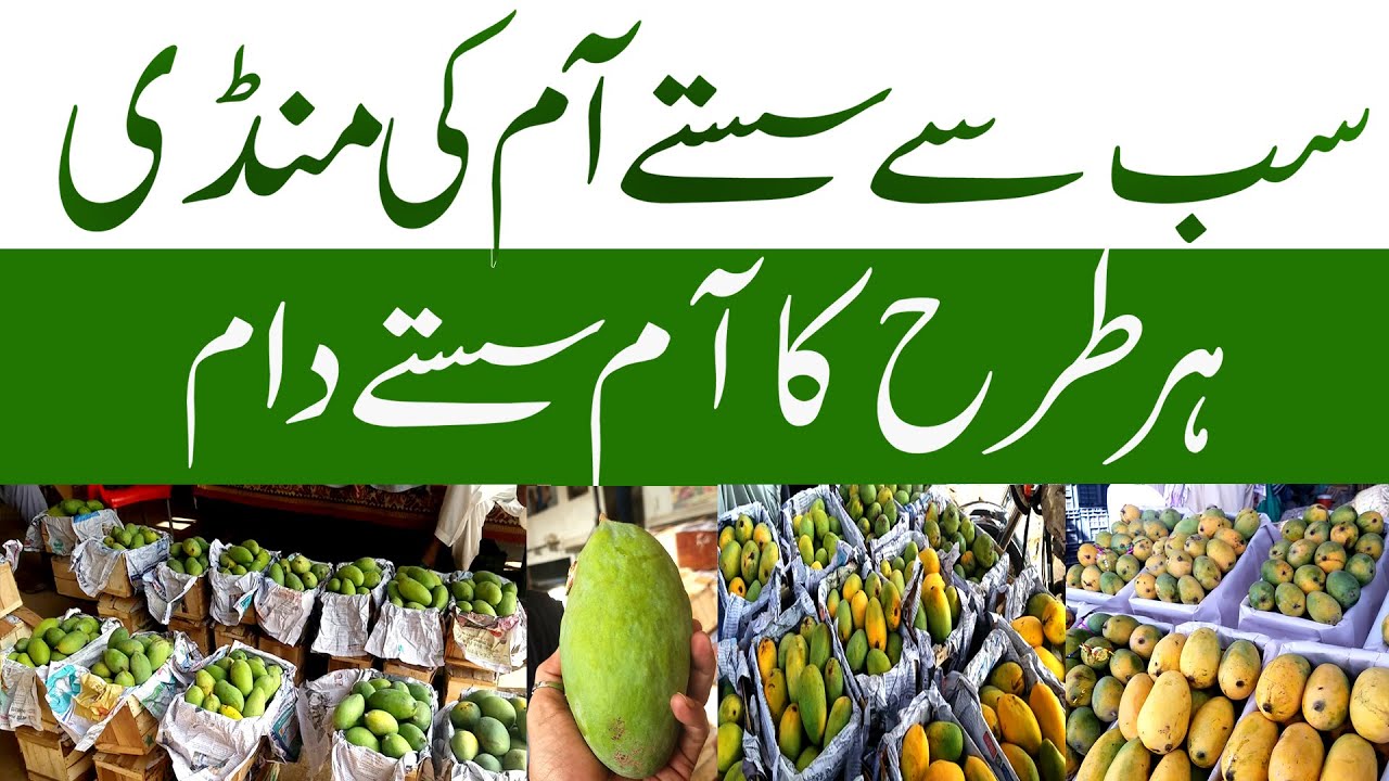 Mango Mandi 2023 Karachi Fruit Mandi Mango Price YouTube