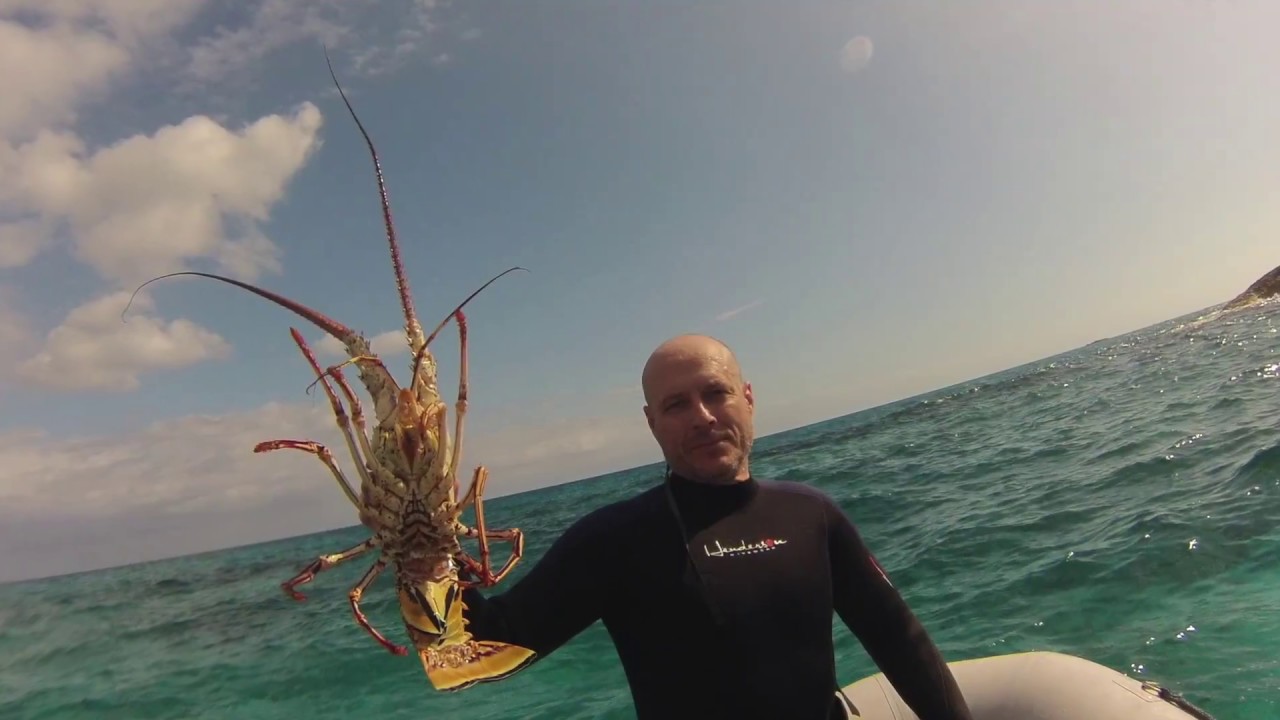 Sailing Luna Sea George Town Bahamas
