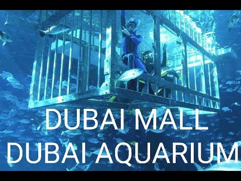 DUBAI AQUARIUM AND UNDERWATER ZOO | DUBAI MALL | DUBAI | UAE