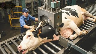 Download Lagu Een kijkje in Australië's ultramoderne fabriek voor het snijden en verwerken van rundvlees MP3