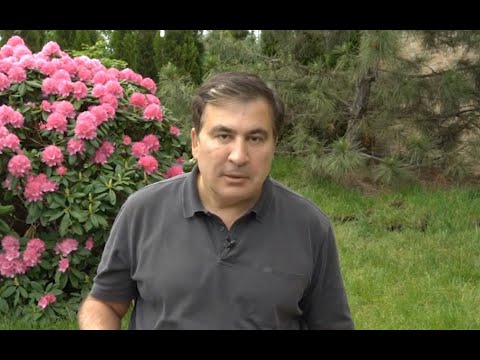 მიხეილ სააკაშვილის ვიდეომიმართვა ნამახვანჰესზე