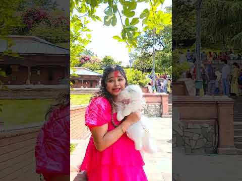 kani hais ka kahu #golumolu #gulgulla #shortvideo #maithilisong