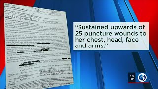 VIDEO: Man arrested for stabbing girlfriend 25 times