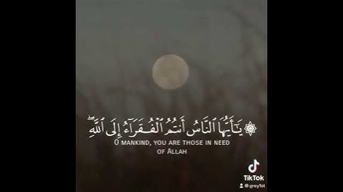 القارئ ياسر الدوسري - سورة فاطر