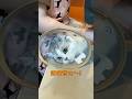 兄猫は病院が嫌い過ぎて大変なんです…