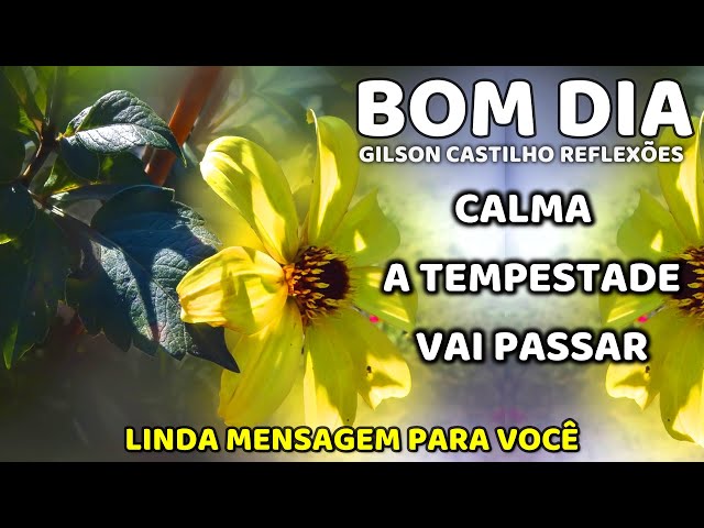 Bonitas mensagens do Bom Dia 470 