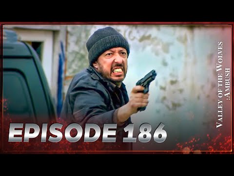 Valley Of The Wolves Ambush Episode 186 Full HD