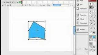 Adobe Flash Tools : Flash Tools: Transform Tool