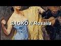 Rosala  saoko english lyrics  letra