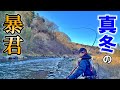 マイナス4℃の凍てつく吾妻川で大物竿がブチ曲がる。