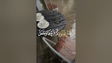 سورة التوبة آية (40).القارئ عبدالرحمن مسعد