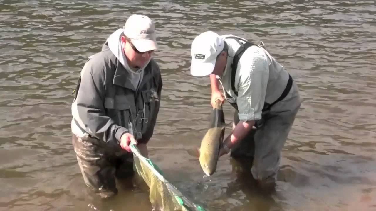 Micmac Fish Grand Cascapedia salmon fishing- micmac camp.mov - YouTube