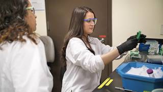 USD Scientist for a Day: Student Labs Research