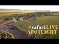 A behind the scenes look at safariLIVE's migration to the Mara!