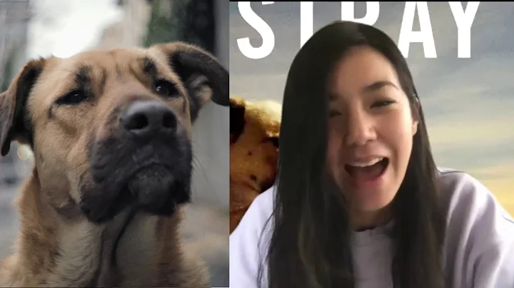 'Stray' Director Elizabeth Lo Documents A Day in t...