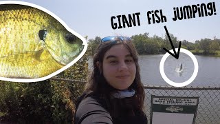 Public Park Bluegill Fishing