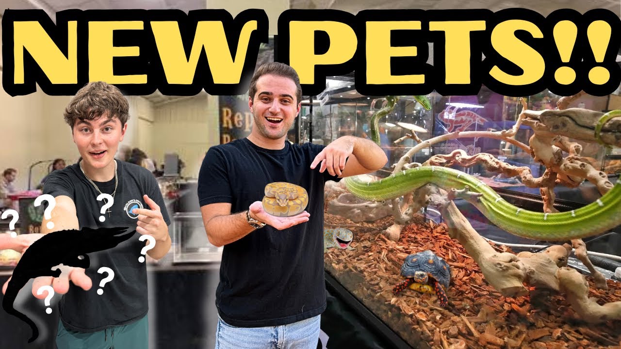 SURPRISING MY FRIEND WITH A NEW EXOTIC PET!!