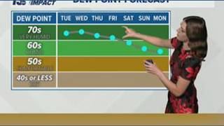 Very warm and humid first week of September