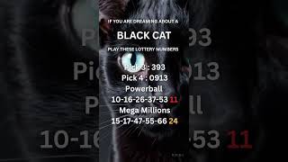 If you are dreaming about a Black Cat, play these lucky lottery numbers.