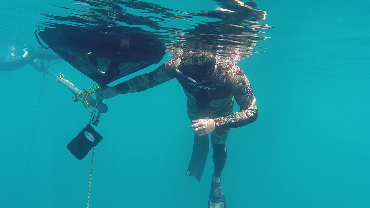 Dutch Springs 66ft Freedive YouTube