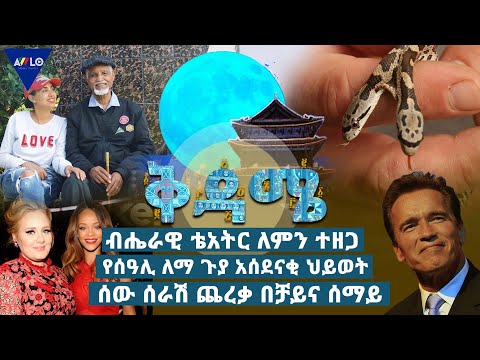 ቪዲዮ: ድምፁ ለምን ተዘጋ?