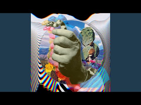 Caracol — Hypersensitive