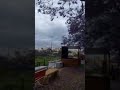 شارع الفن ابها