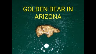 Golden Bear Nugget - Arizona Gold Nugget Detecting