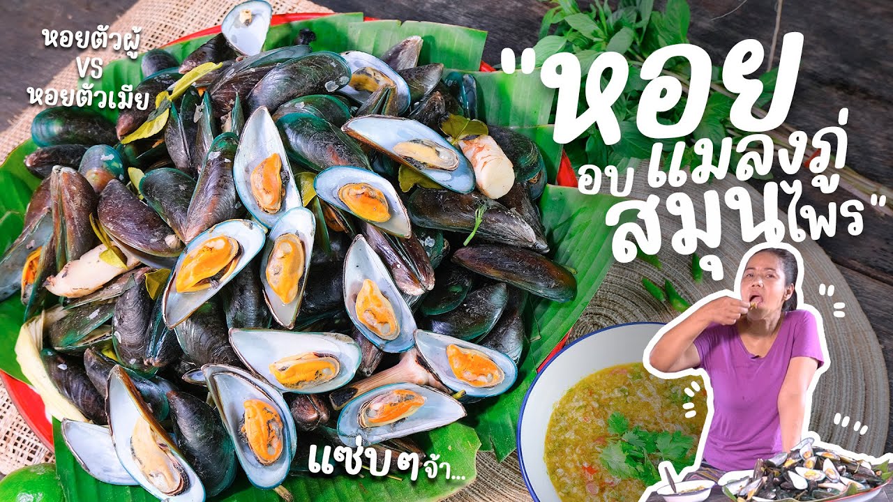 EP 240. หอยแมลงภู่อบสมุนไพร ใช้หอยตัวผู้หรือหอยตัวเมียดีกว่ากัน | กับข้าวกับตา