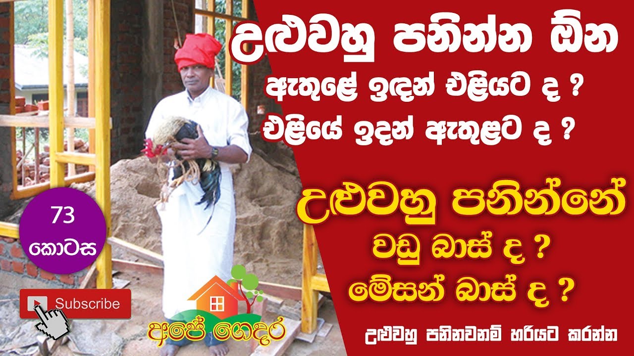 Ape Gedara Part 73 උළුවහු පනිනවනම් හරියට කරන්න.