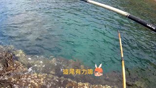 石城煙仔崁 釣況分享 Wild fishing in Taiwan. [嘟嘟釣魚狂#230] 2023/08/17