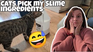 Cats Pick My Slime Ingredientscraftea Cat