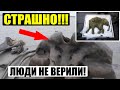 СРОЧНО! ЭТО НАШЛИ НА БЕРЕГУ МОРЯ (2021) В ГОЛОВЕ НЕ УКЛАДЫВАЕТСЯ. Документальный спецвыпуск!